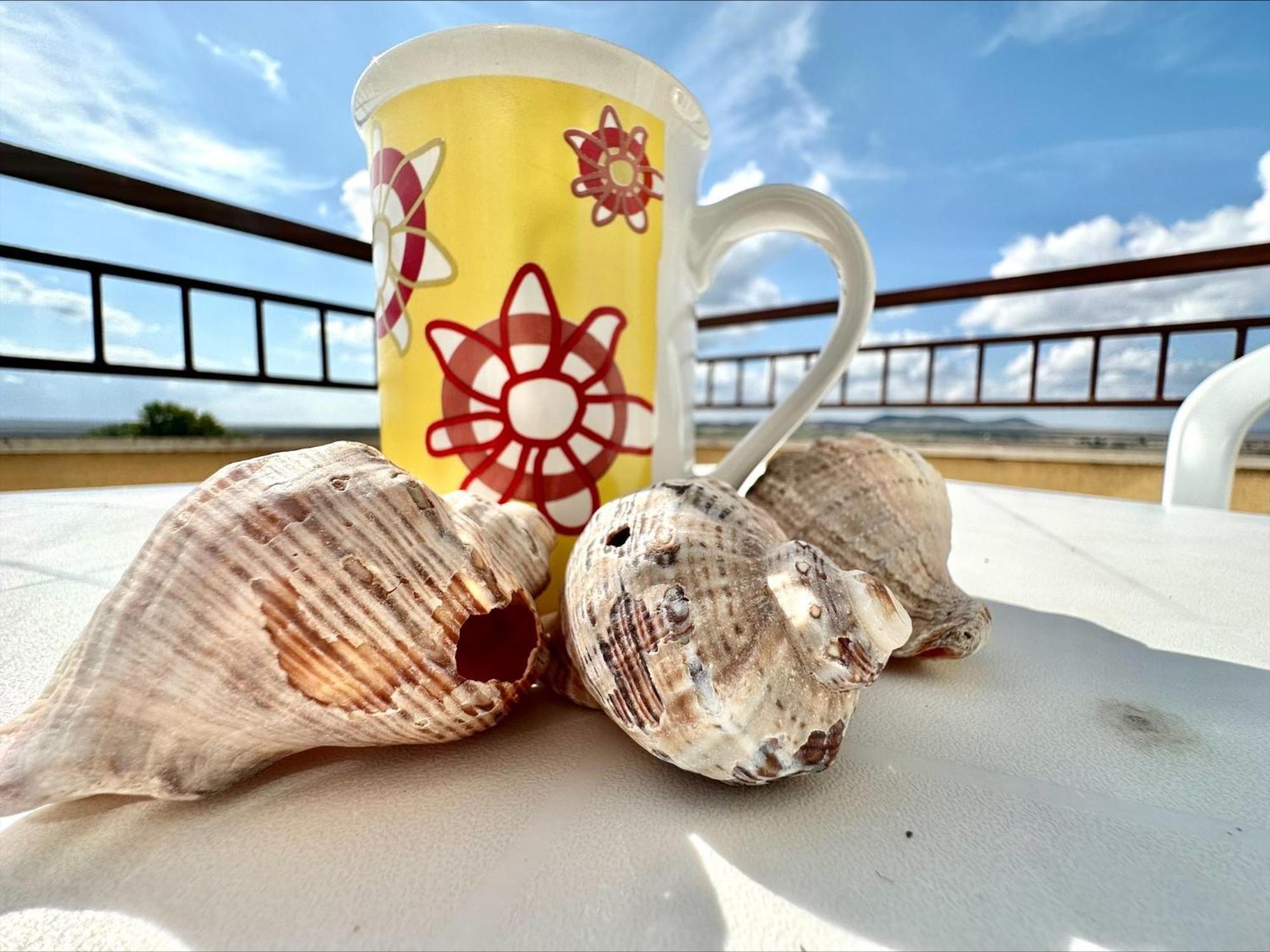 Menada Grand Resort Apartments Aheloj Szoba fotó